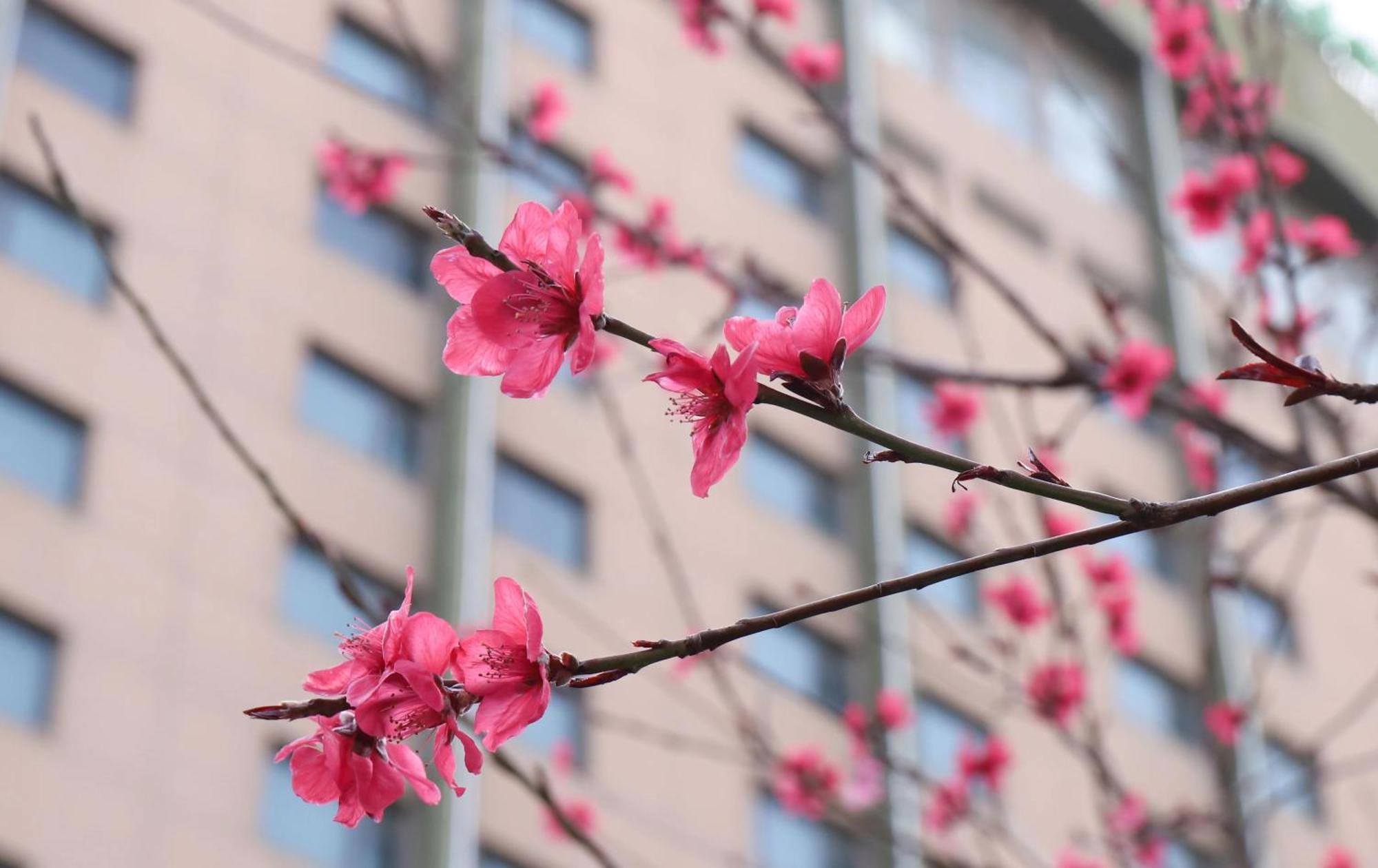 Holiday Inn Express Zhengzhou Zhongzhou By Ihg المظهر الخارجي الصورة